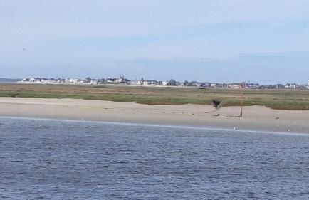 Baie de somme - Foto 4