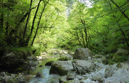 Baita Genzianella - Foto 44