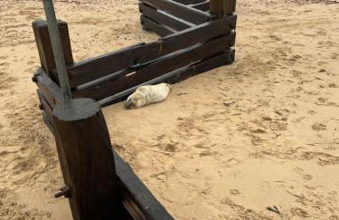 April Cottage - Foto 16