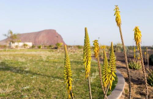 La Tejita Luxury Apartment - Foto 47