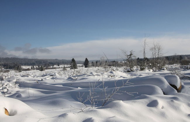 Cozy Forest Chalet Escape - Photo 20