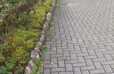 Casa di Sofia e Oscar Lago di Como Canzo - Foto 32