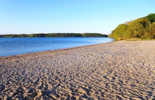 Whip-o-Will Woods: Dog-Friendly Cape Cottage - Photo 17