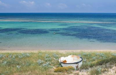 Ale house experience - Foto 37