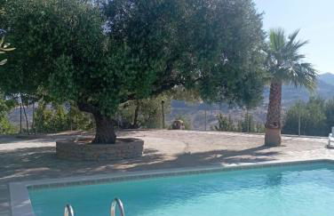 El Cañuelo - Foto 37