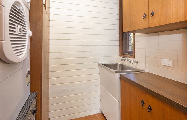 Grey Kangaroo- On Lake Jindabyne foreshore - Foto 18