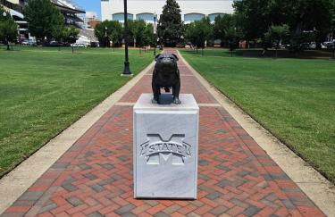 Bulldawg Bay - Foto 17