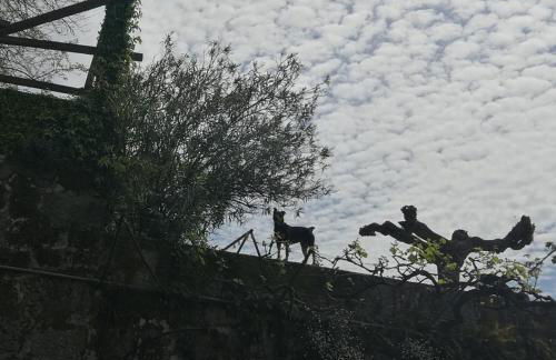 Casa Do Palheiro - Photo 61