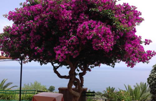 Hotel Agriturismo Santa Margherita - Foto 81