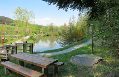 Apartment Schmalzenhof by Interhome - Foto 56