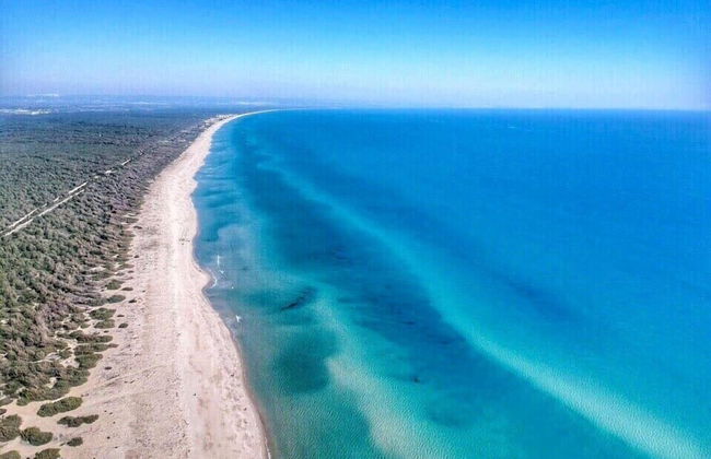 Agriturismo La Stornara - Foto 74