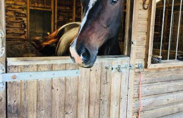 Idyllic Dorset Cottage Surrounded by Fields in the Heart of the Countryside - sleeps 7 - Foto 22