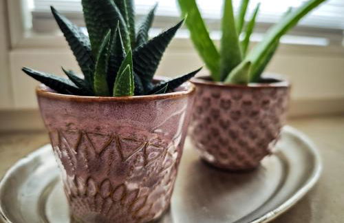 Apartment im Paulusviertel mit Balkon und Fahrrädern 58 qm - Foto 17