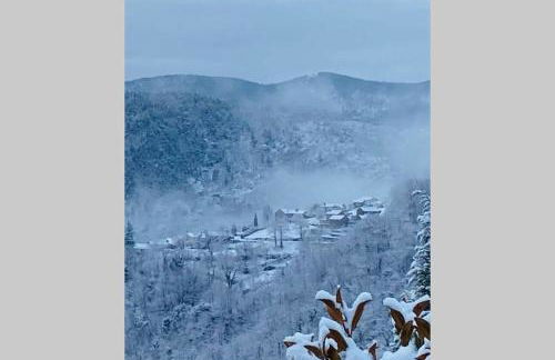La Pellegrine, Parc national des Cévennes - Foto 44