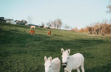 Idyllisches Apartment mit exklusivem Whirlpool - Foto 38