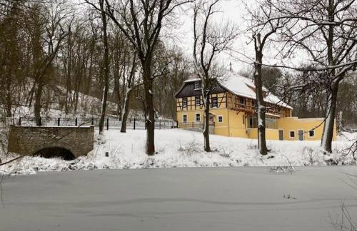 Zum Böhmen Ferienwohnung Fridericke Ferienhaus am See - Urlaub Ferien in Bad Langensalza - Foto 27