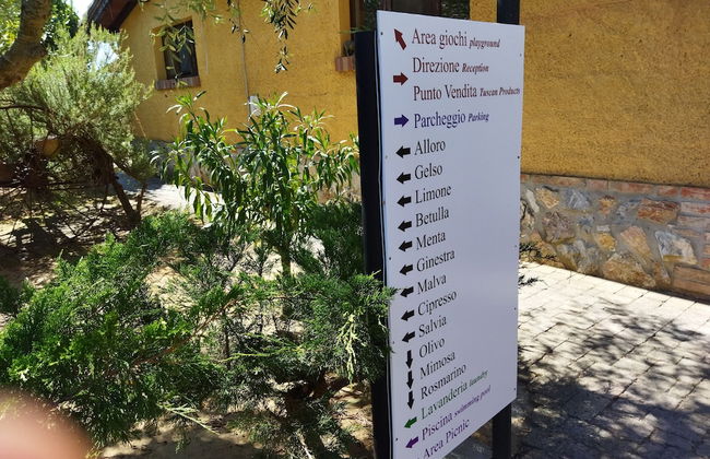 Azienda Agrituristica Le Betulle - Foto 54