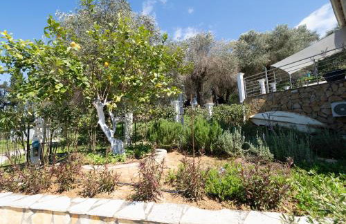 Olea Luxury Apartment - Photo 56