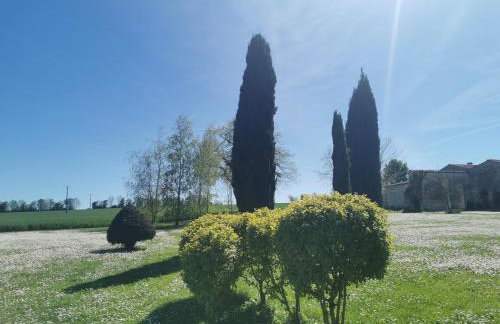 Maison la tour - Photo 66