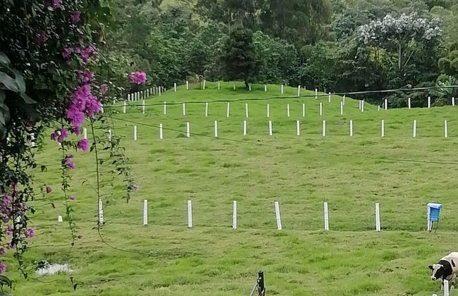 Café de Colores con balcon - Photo 23