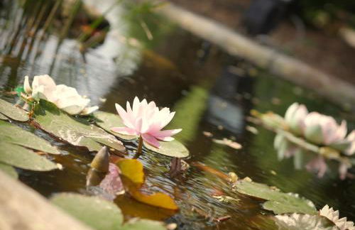 Agriturismo Quadrifoglio Relax - Foto 61