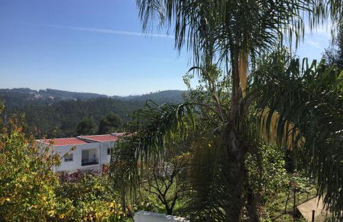 VN MOUNTAIN VIEWS PORTO - Foto 16