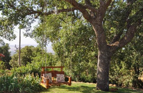 Il Poggetto di Barbara - Casa Bianca - Foto 25