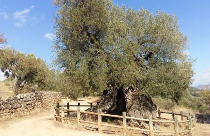 Vistas al mar - Foto 30