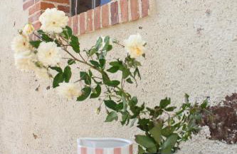 Manoir de Brillac - Luxury East Wing Gîte - Photo 13