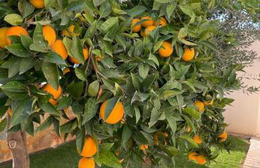 Villa Orangerie - Where Luxury Meets Serenity - Foto 62