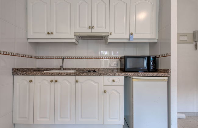 Eucaliptus - Foto 17