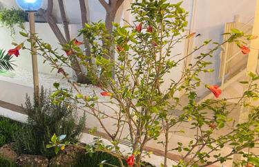 Perla dei Messapi - Foto 50