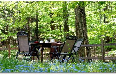 Romantic Cottage Rental with Hot Tub Outside Woodstock, New York - Foto 5