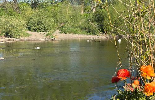 By the River - Foto 40