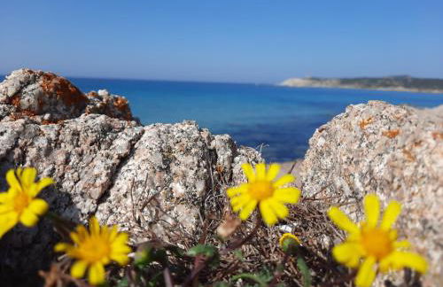Appartamenti Santa Teresa Gallura - Photo 20