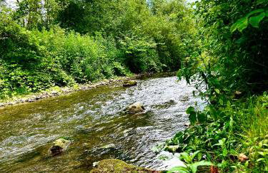 Siedlisko Nad Potokiem - Foto 23