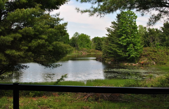 Pine Brae Eco-Resort - Photo 18