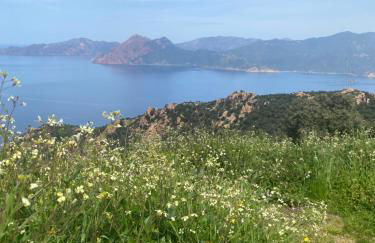 Piana - vue mer et village - Foto 24