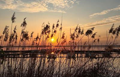 Ferienhaus Emma - Foto 37