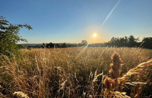 AR Apartments II I 5 Pers I Prime I Küche I WLAN I am Thüringer Meer - Foto 37