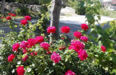 Apartment Marijan - Rtina - Foto 3