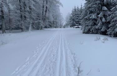 Wohlfühl Appartments - Foto 22