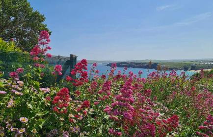 Detached Bungalow in North Cornwall - Foto 37