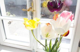 Gästezimmer Mittelgasse - Foto 24