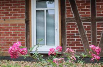 Ferienwohnung Meta's Hof - Photo 28