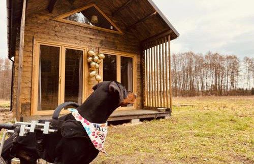 aResowa Wioska - Foto 19