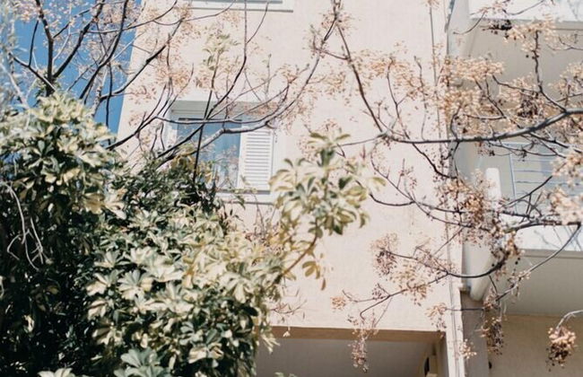 Best House Nirvana Patra - Foto 30