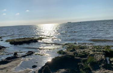 Strandhaus Meeresluft - Foto 24