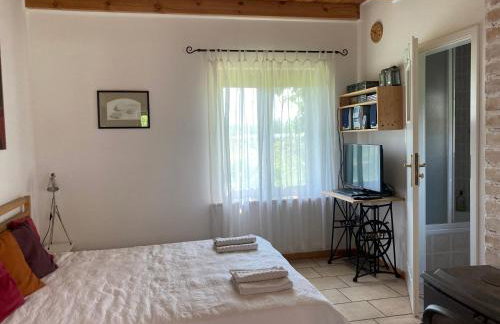 Biały Zdrój - Foto 15