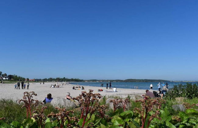 Tranquil Seaside Haven-by Traum - Foto 34